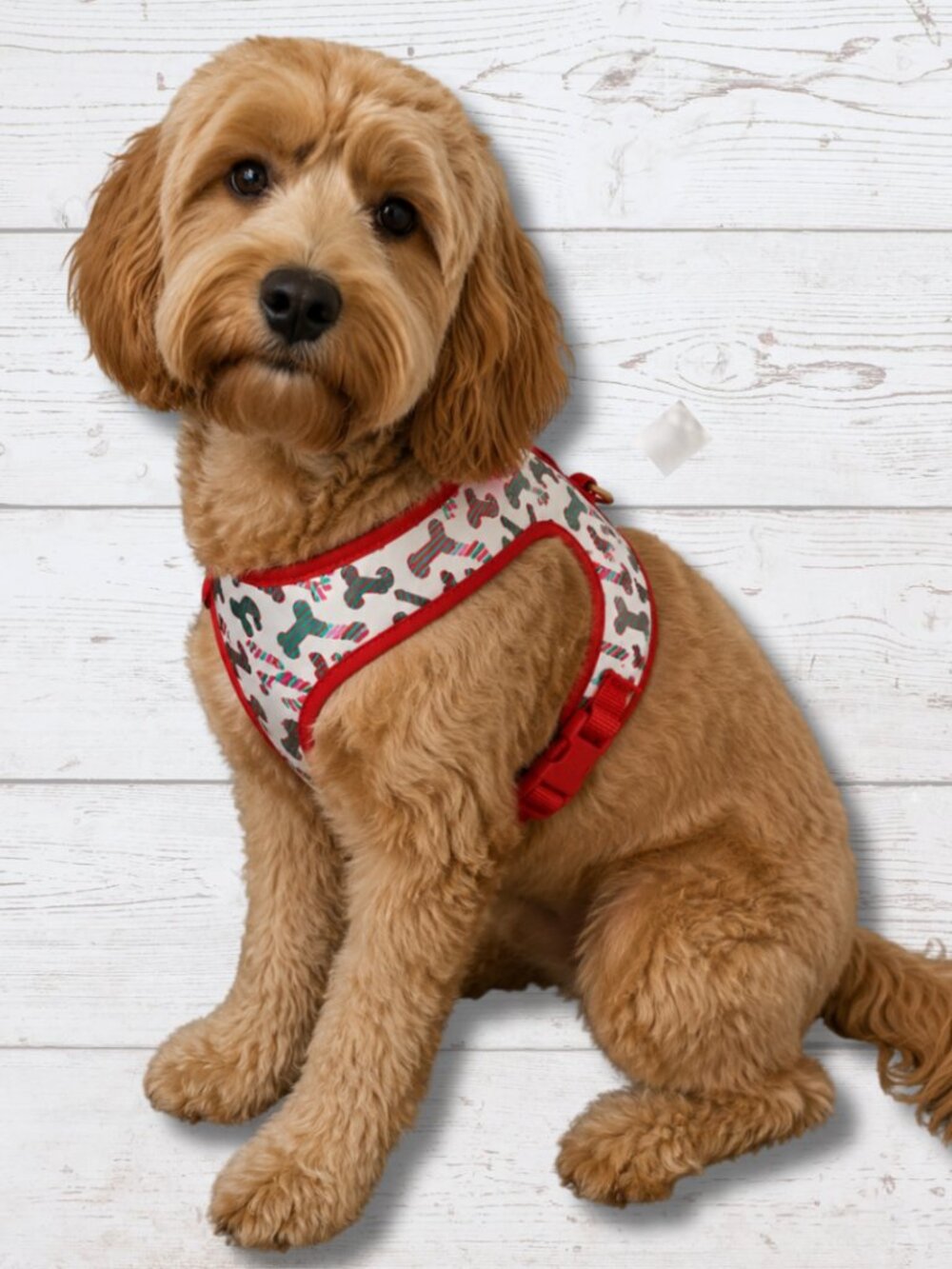 Merry & Bright Holiday Reversible Dog Harness – Medium – NWT